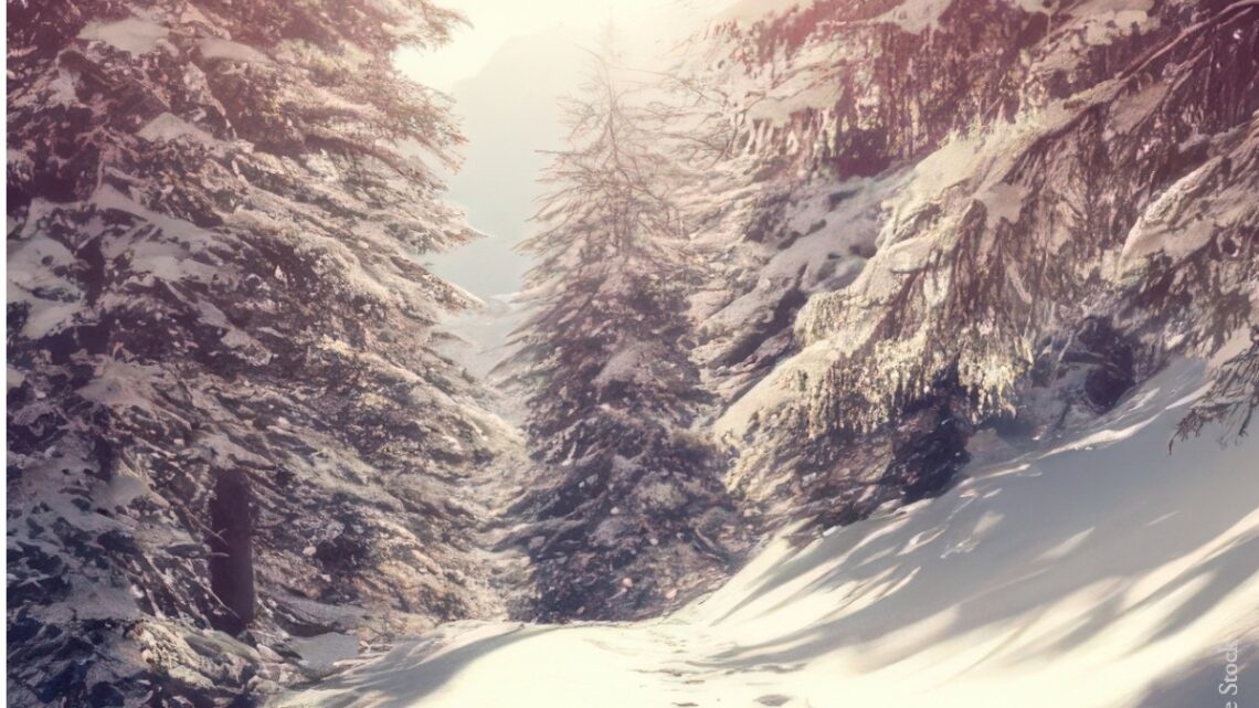 Calendrier de l’Avent immatériel : une proposition du groupe Maison Commune* du COEC pour attendre Noël autrement.