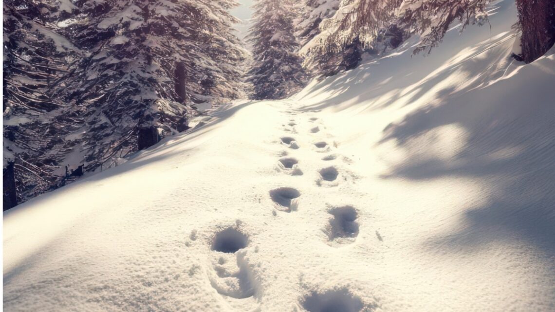 Calendrier de l’Avent immatériel : une proposition du groupe Maison Commune* du COEC pour attendre Noël autrement.